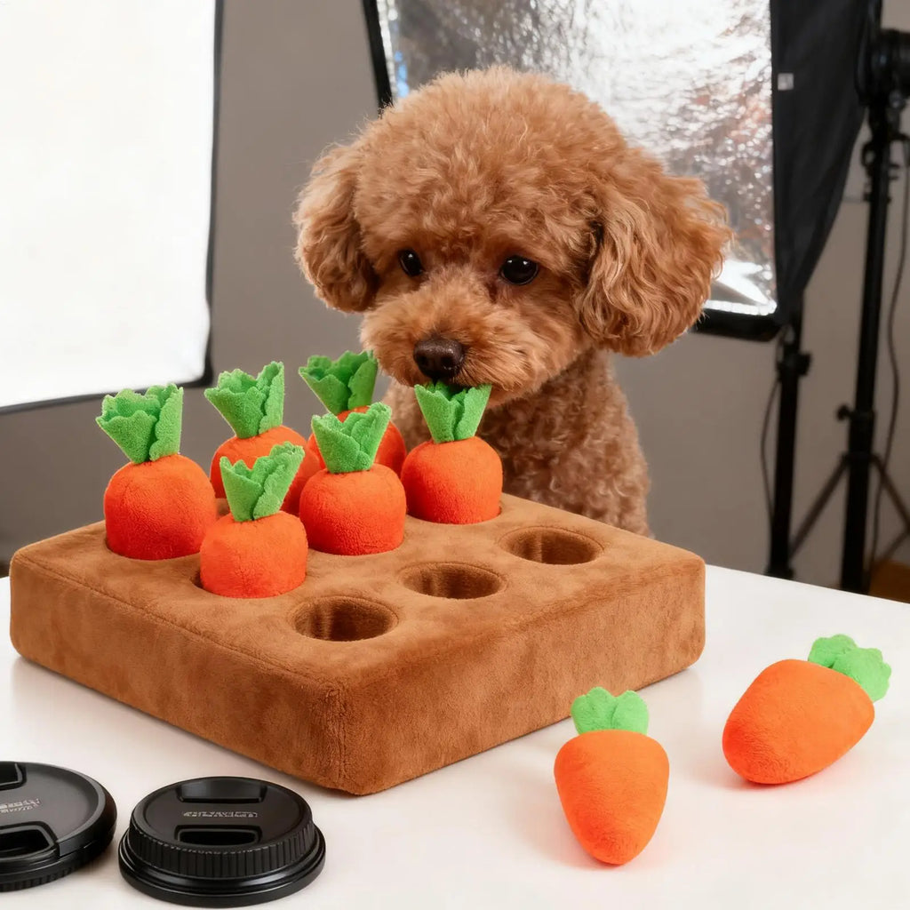 Tapis de Fouille Carottes