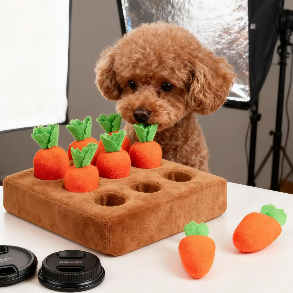 Tapis de Fouille Carottes