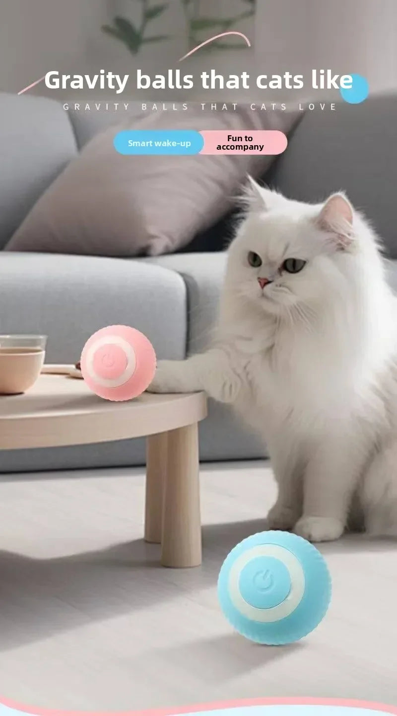 Balle Intelligente Pour Chat