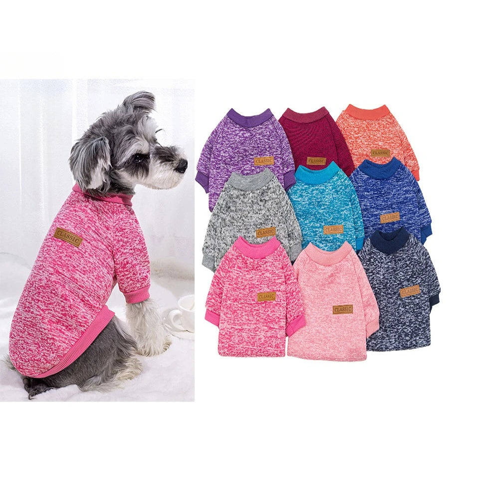 Pull Chaud Pour Chien