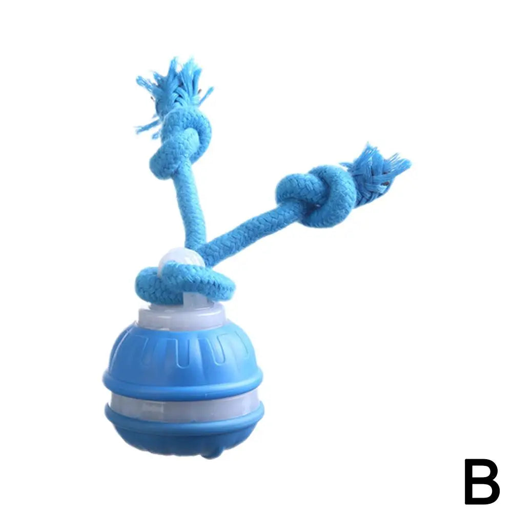 Balle Interactive Électronique