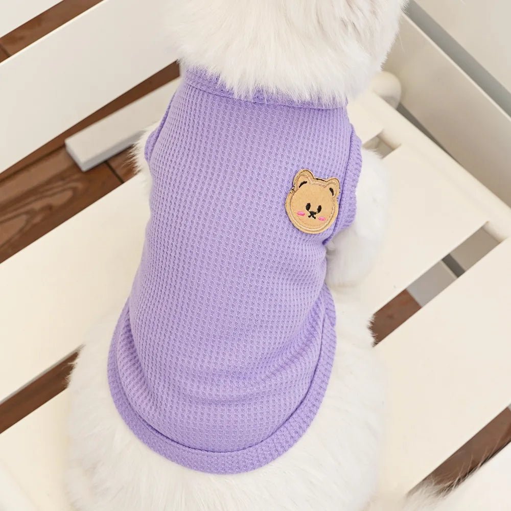 Gilet Ours Douillet Pour Chat