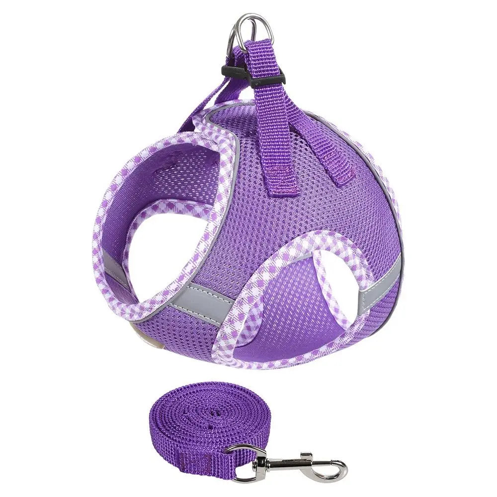 Balle Interactive pour Chien