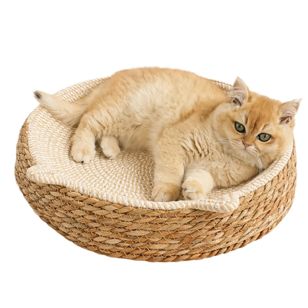 Nid Griffoir Douillet Chat
