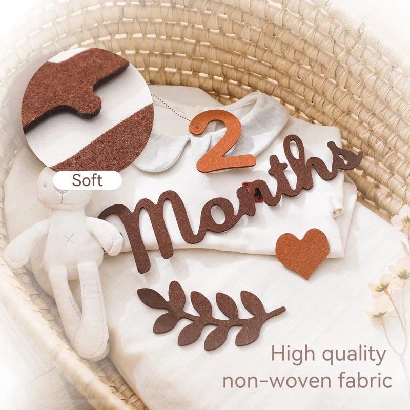 Baby Milestone Cards Soft Felt 0-12 Monthly Milestones Memorial Commemorativenir Photography Accessories For Newborn Birth Gift