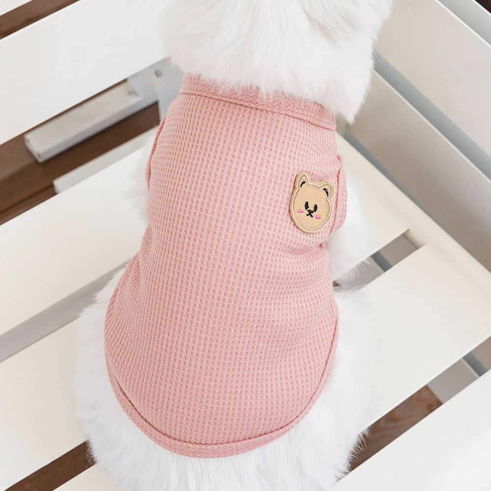Gilet Ours Douillet Pour Chat