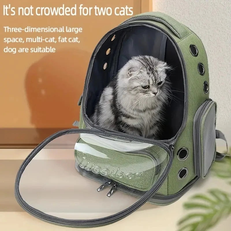 Sac Bubble Transport Chat