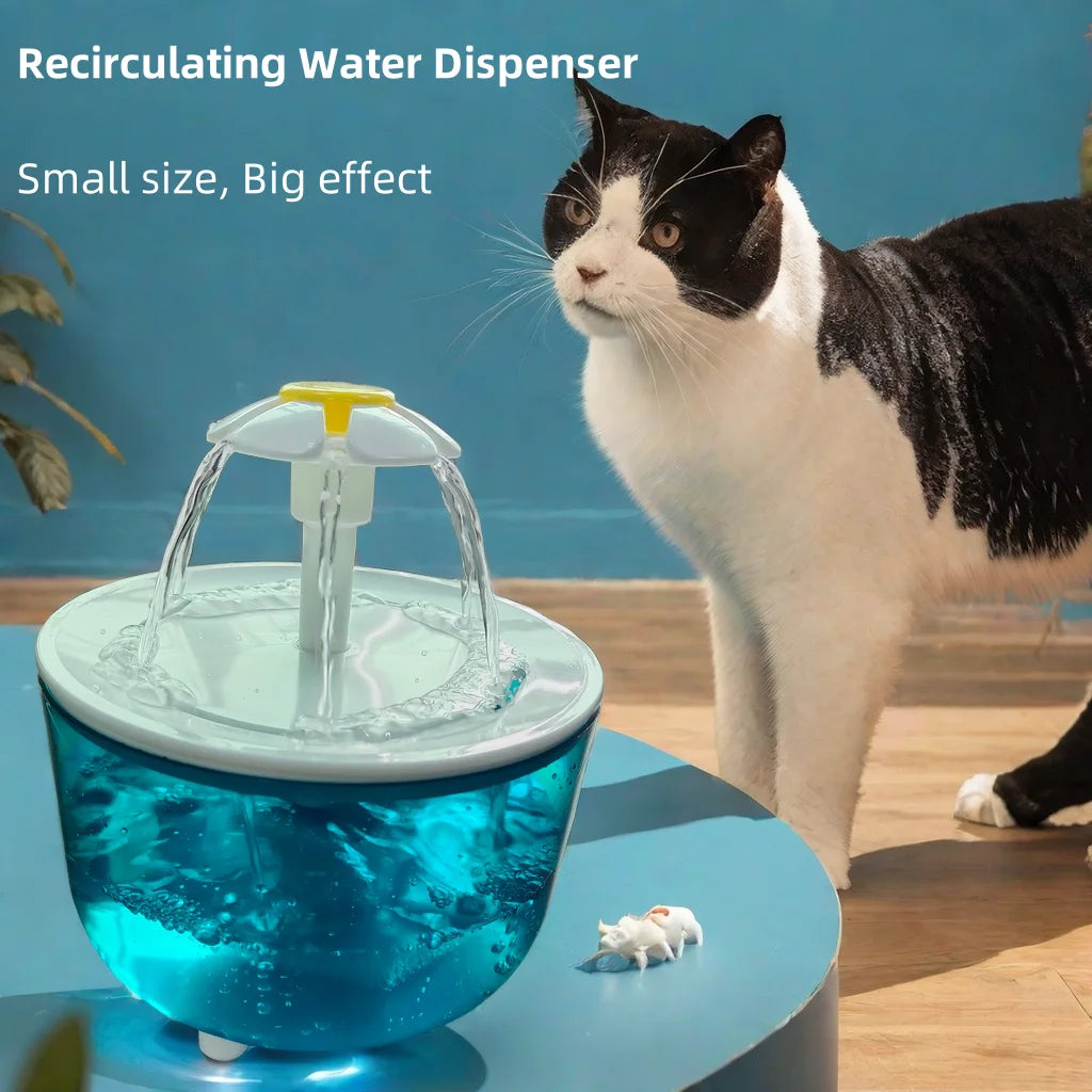 Fontaine zen pour Chat