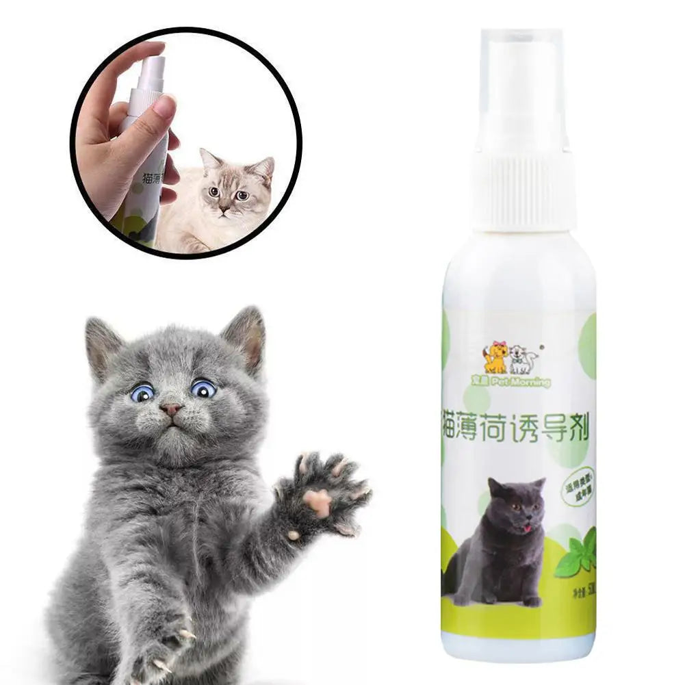 Spray Cataire Plaisir Félin