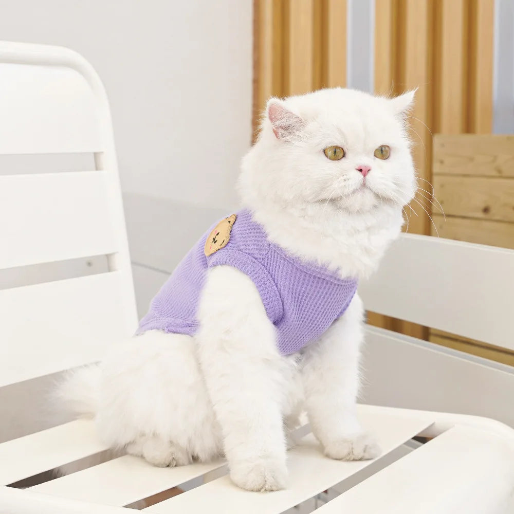 Gilet Ours Douillet Pour Chat