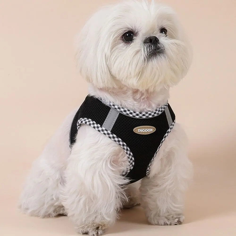 Balle Interactive pour Chien