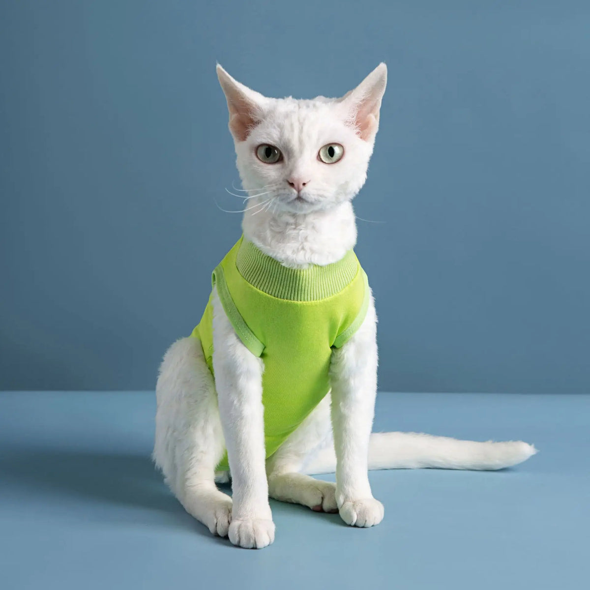 Combinaison Récupération Chat