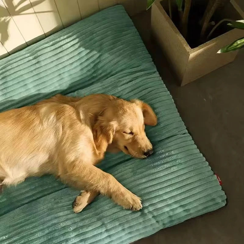 Grand Coussin Douillet Pour Chien