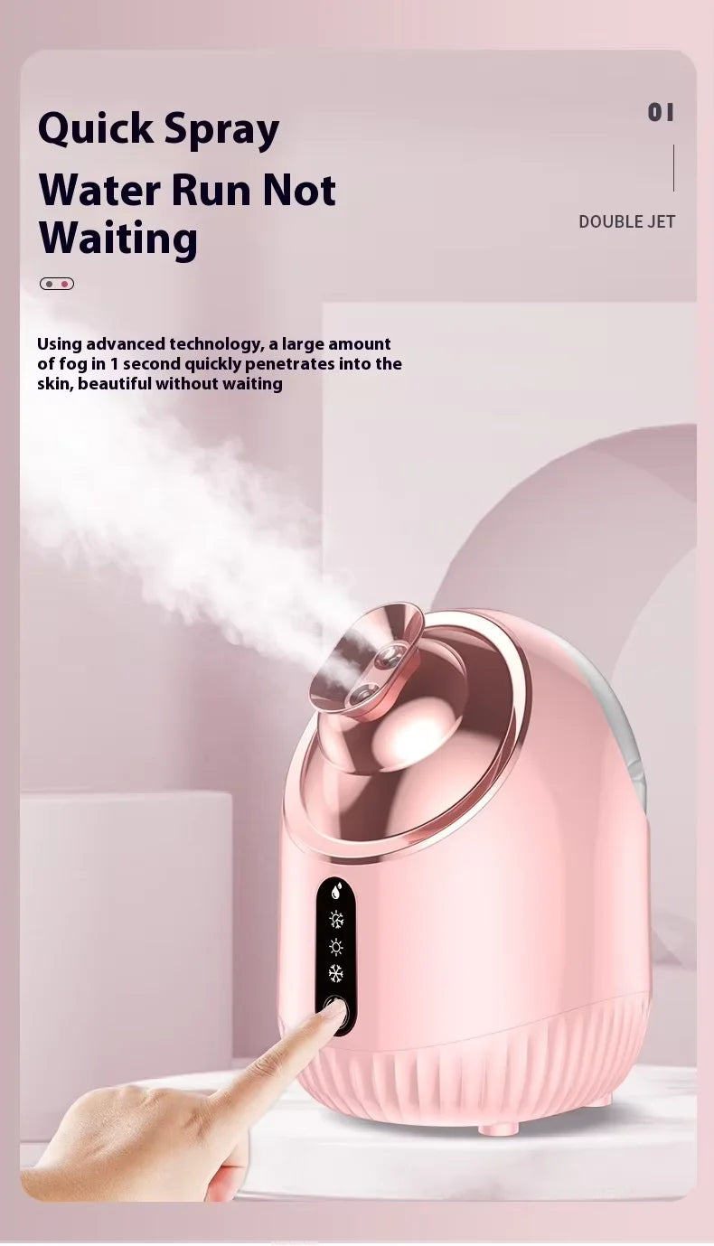 Brumisateur Vapeur Visage