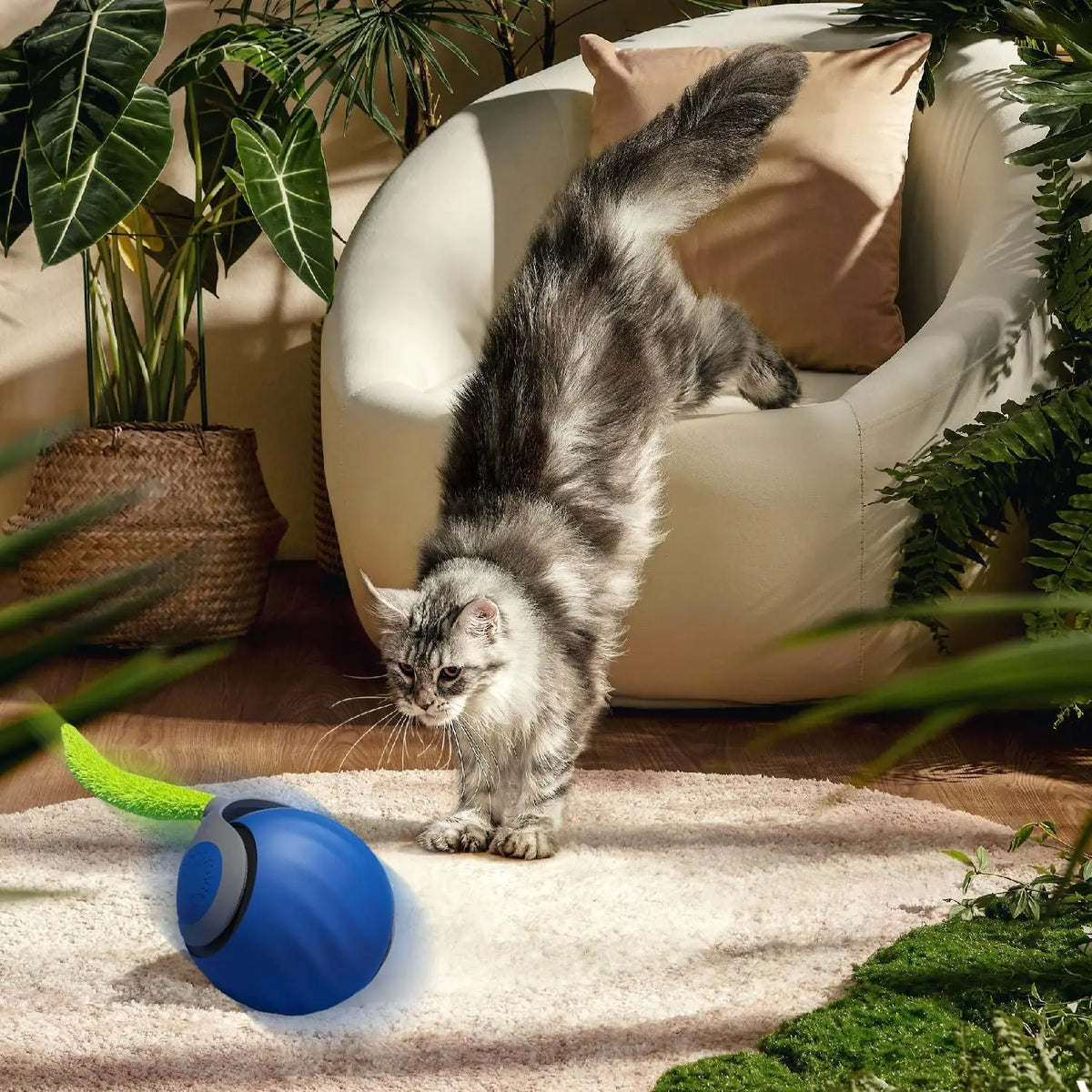 Balle Interactive Speedy Tail