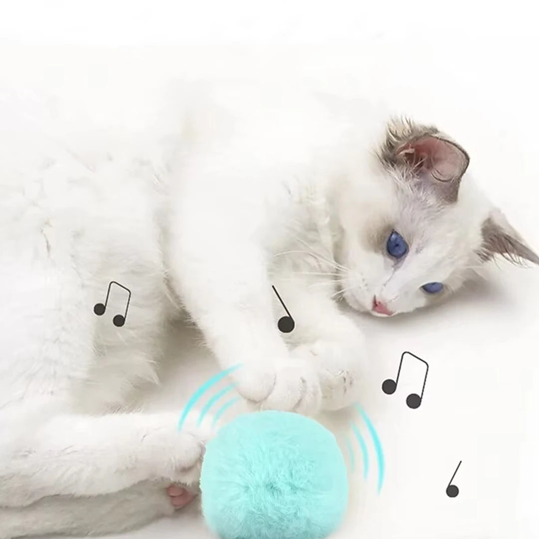 Balle Interactive Pour Chat