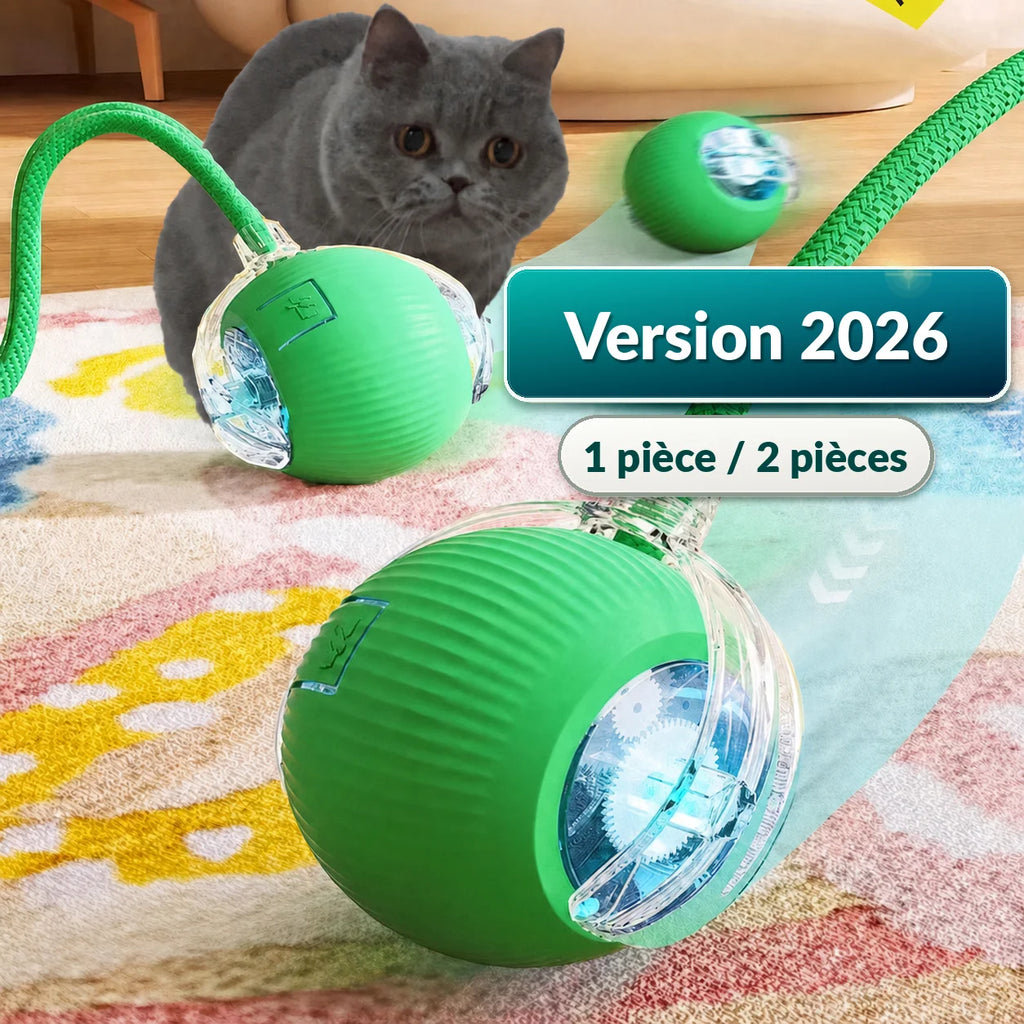 Jolie Balle Intelligente Pour Chat