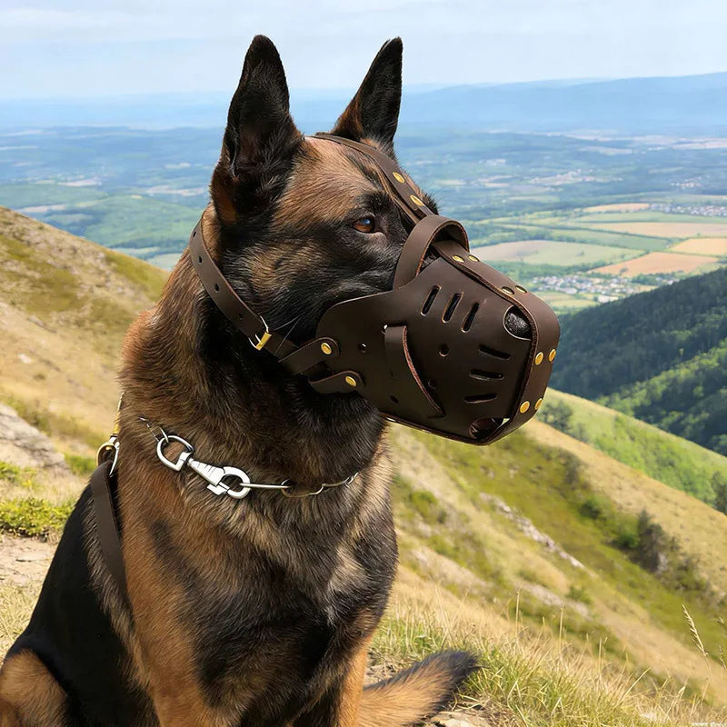 Muselière Confort pour Chiens