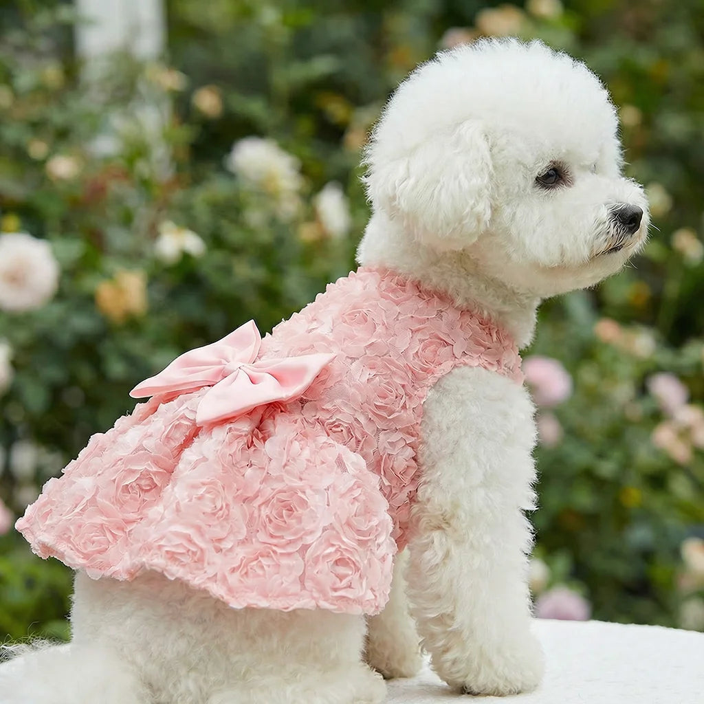 Robe Princesse Fleurie
