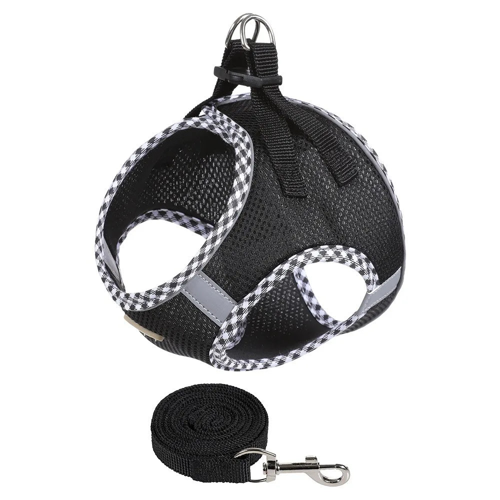 Balle Interactive pour Chien