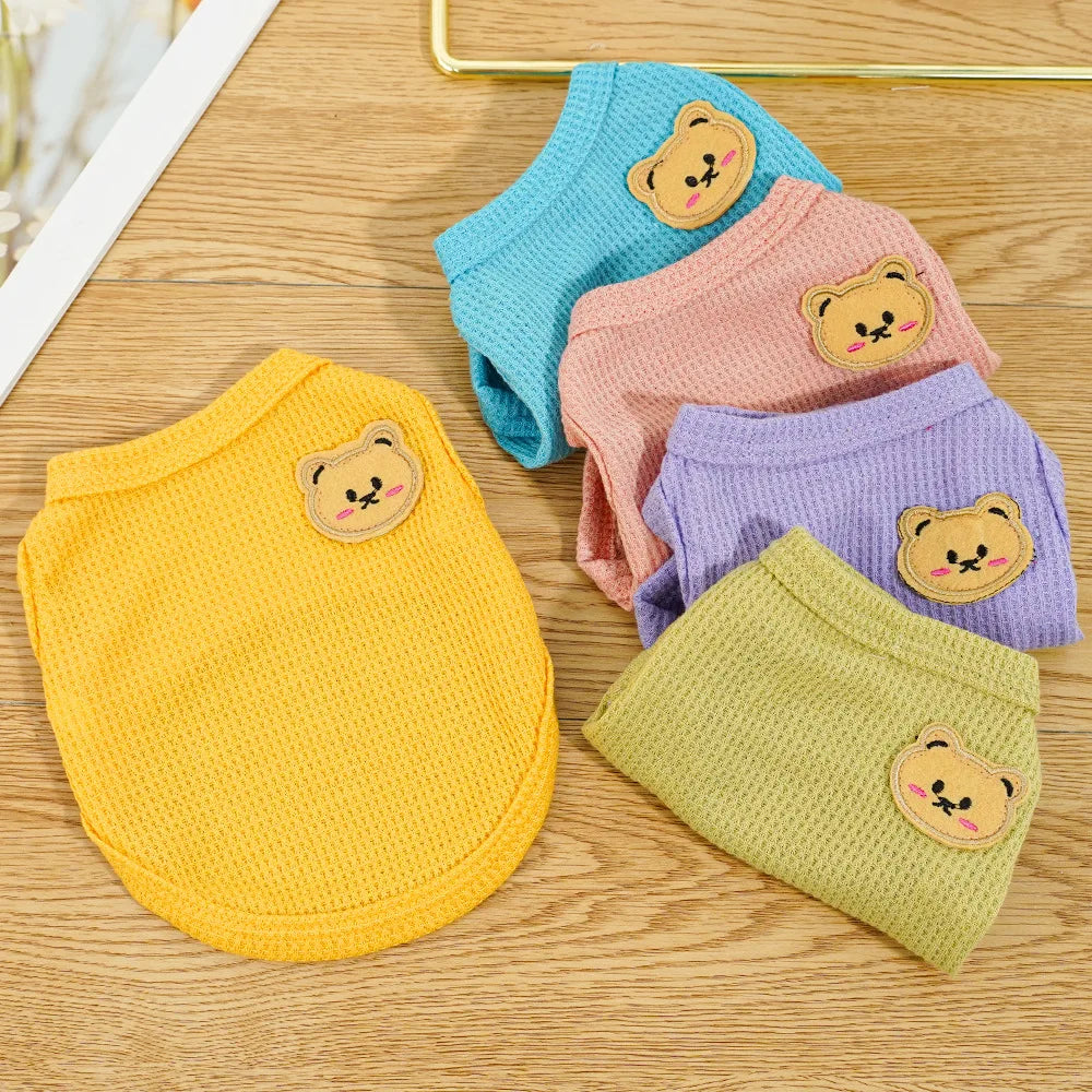 Gilet Ours Douillet Pour Chat