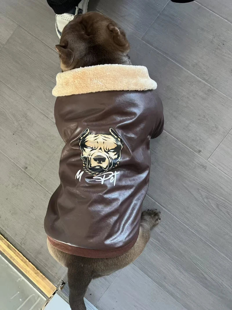 Manteau Hiver Pour Chien