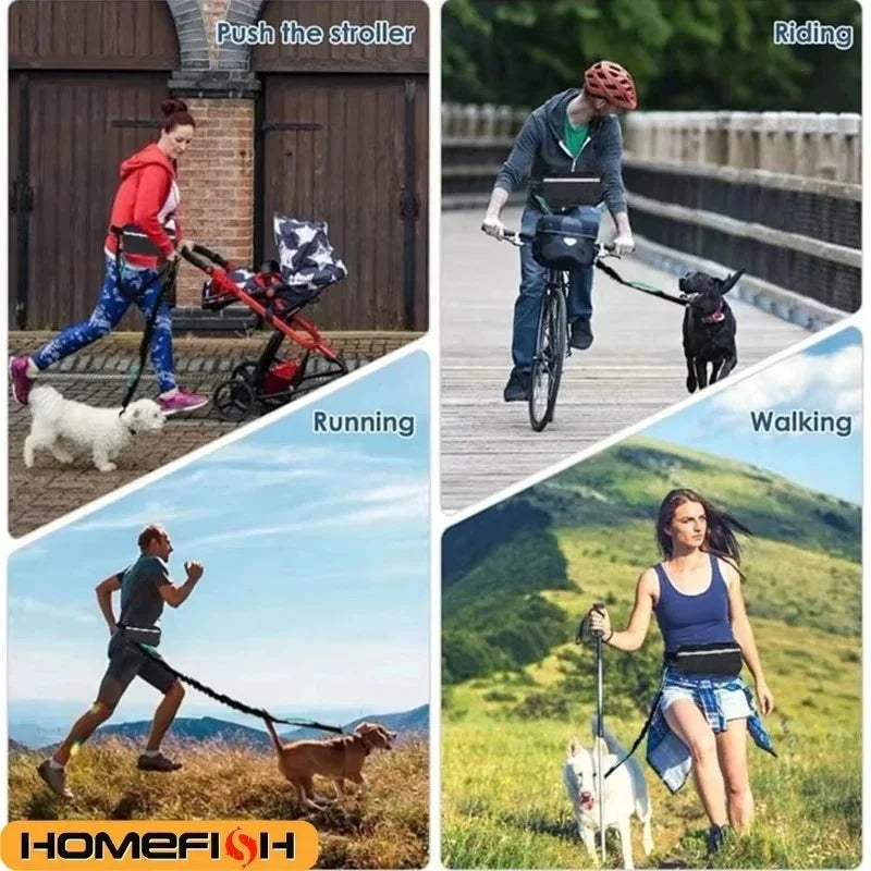 Laisse Running Mains Libres