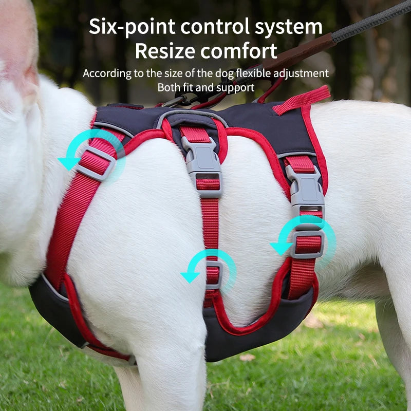Harnais Bulldog Anti-Traction