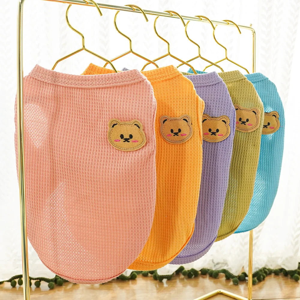 Gilet Ours Douillet Pour Chat