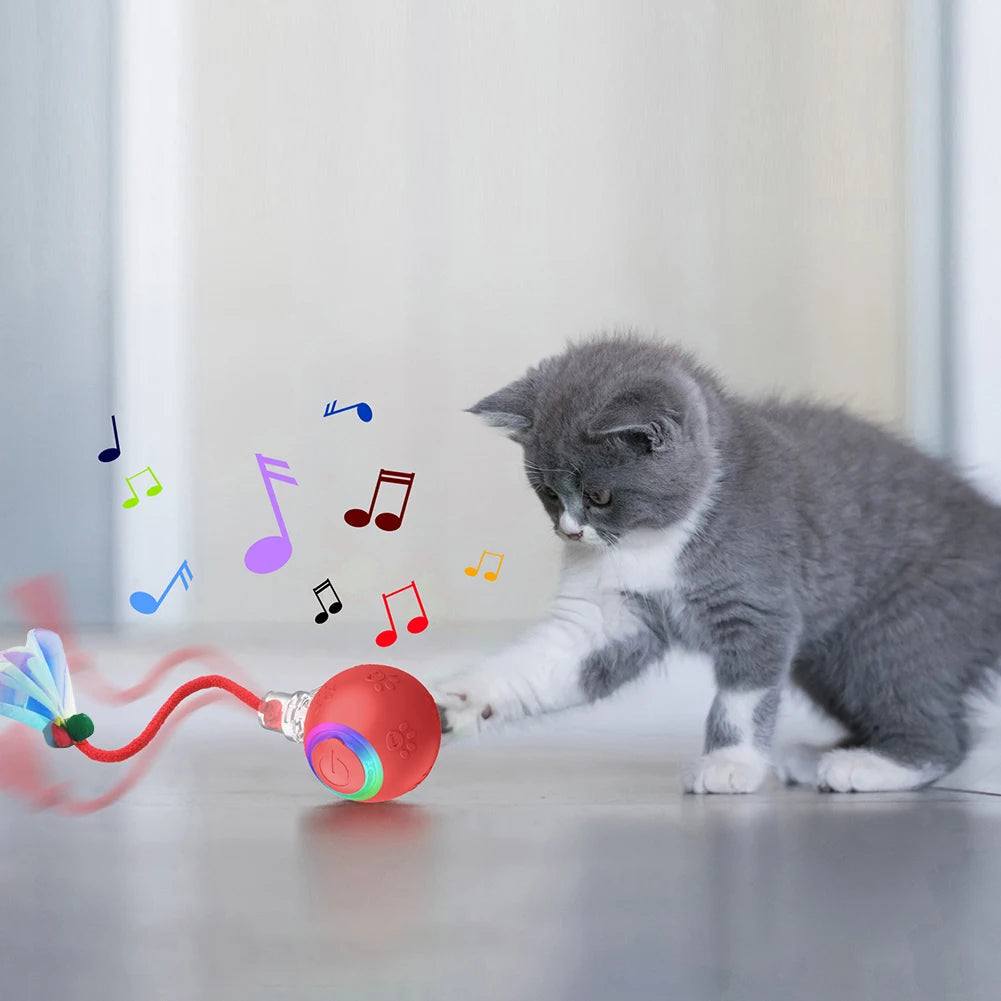 Balle Interactive Pour Chat
