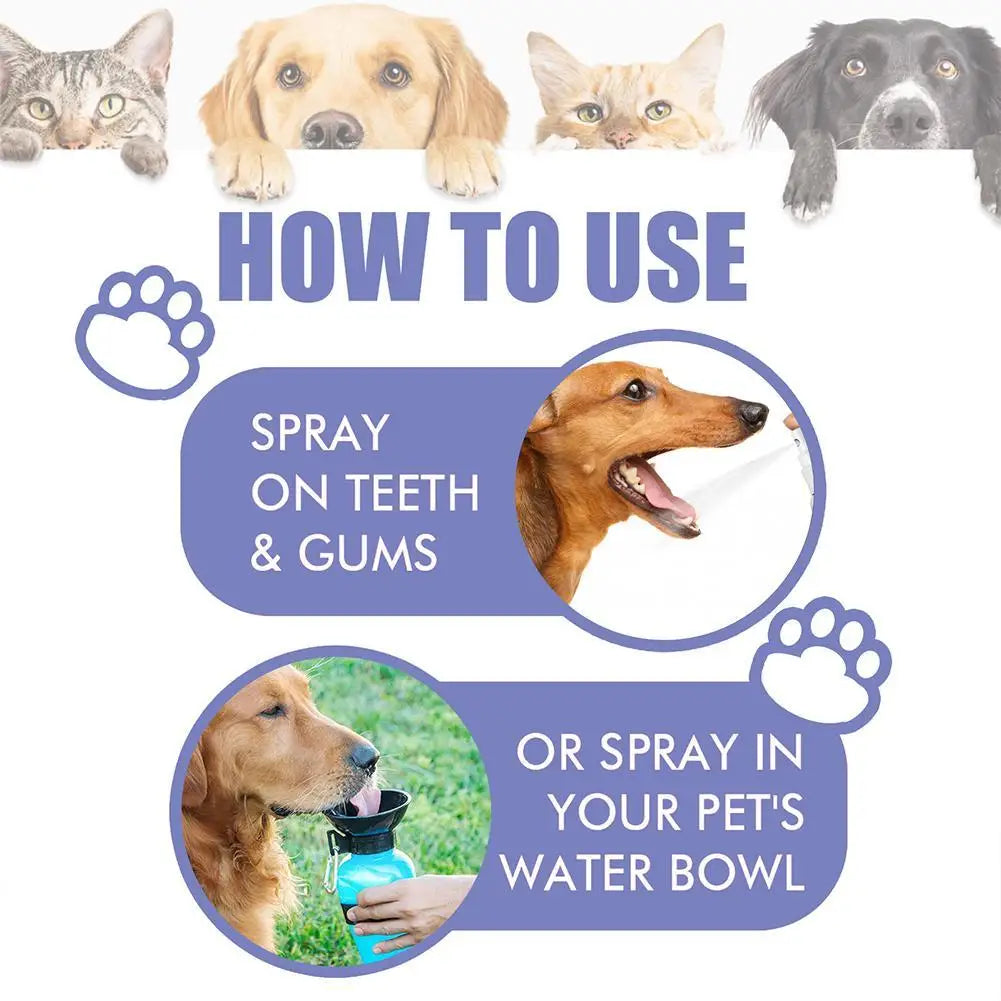 Spray Bucco-Dentaire pour Animaux