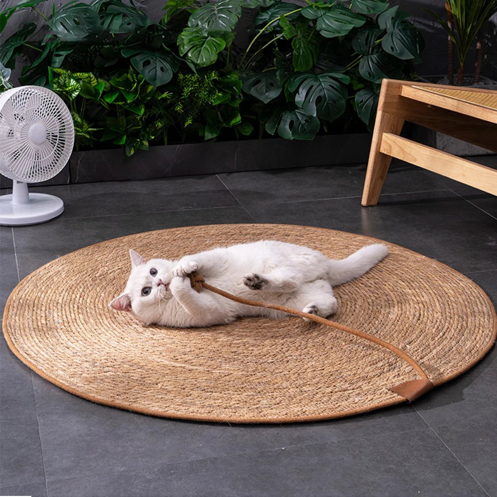Griffoir Rattan Protecteur