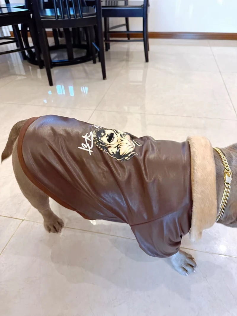 Manteau Hiver Pour Chien