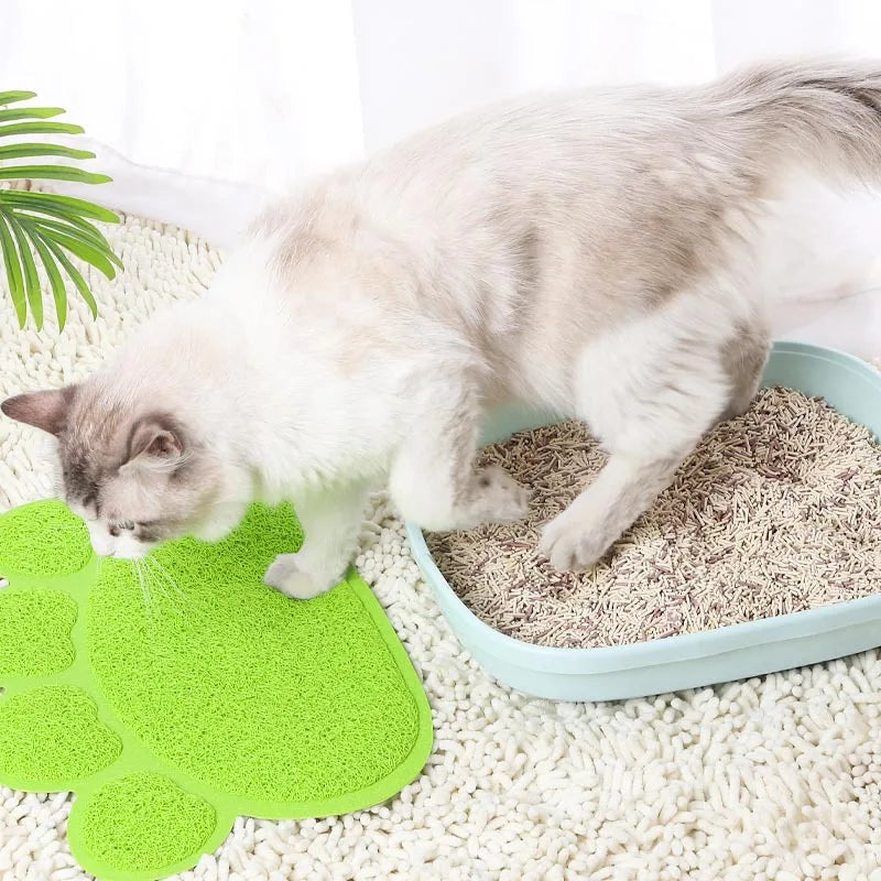 Tapis Anti-Saleté pour
