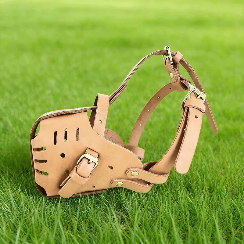 Muselière Confort pour Chiens