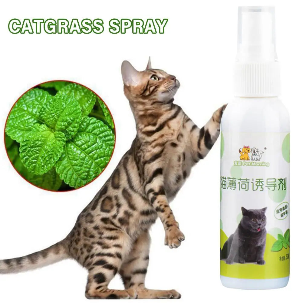 Spray Cataire Plaisir Félin