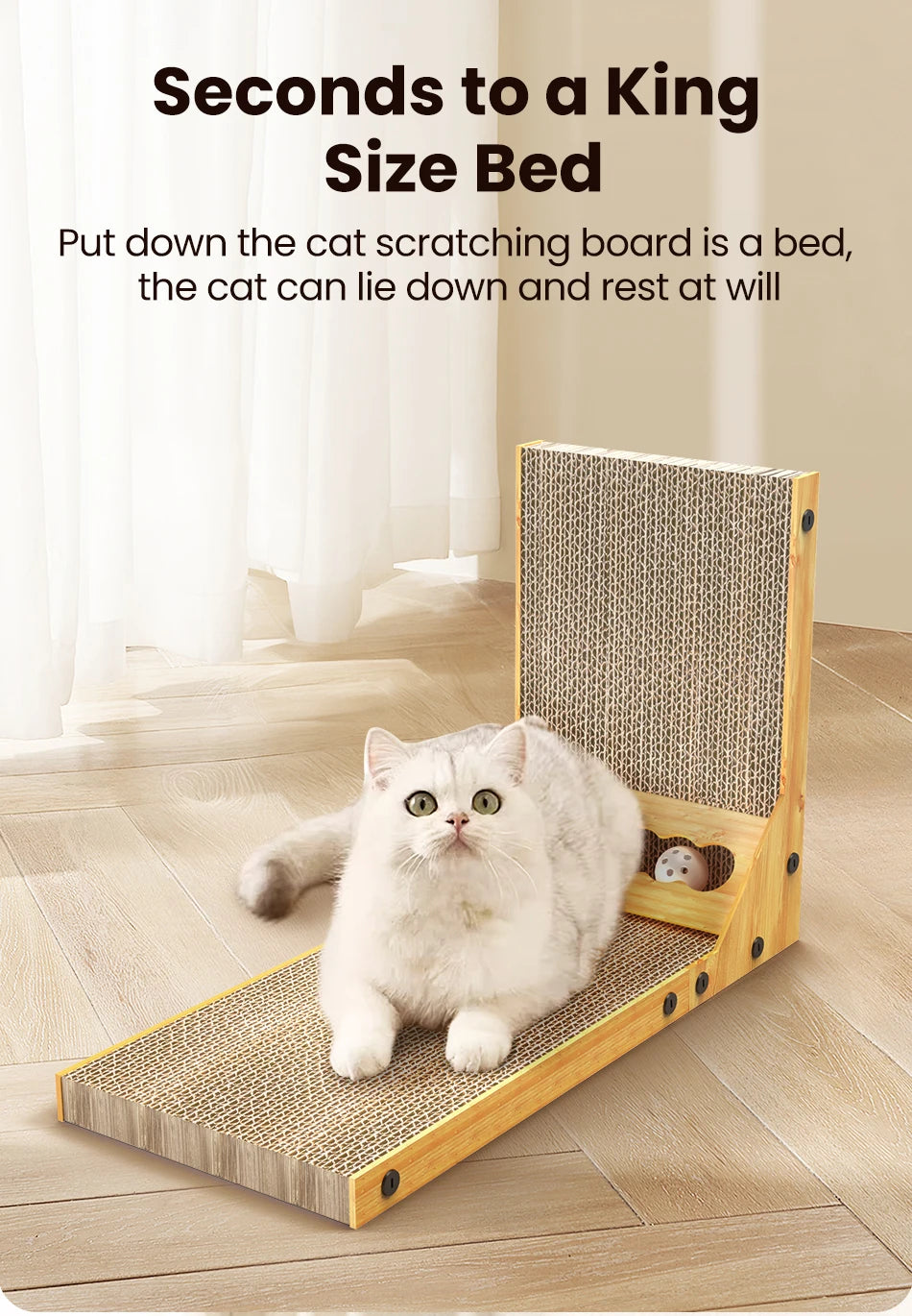 Griffoir L ROJECO pour Chat