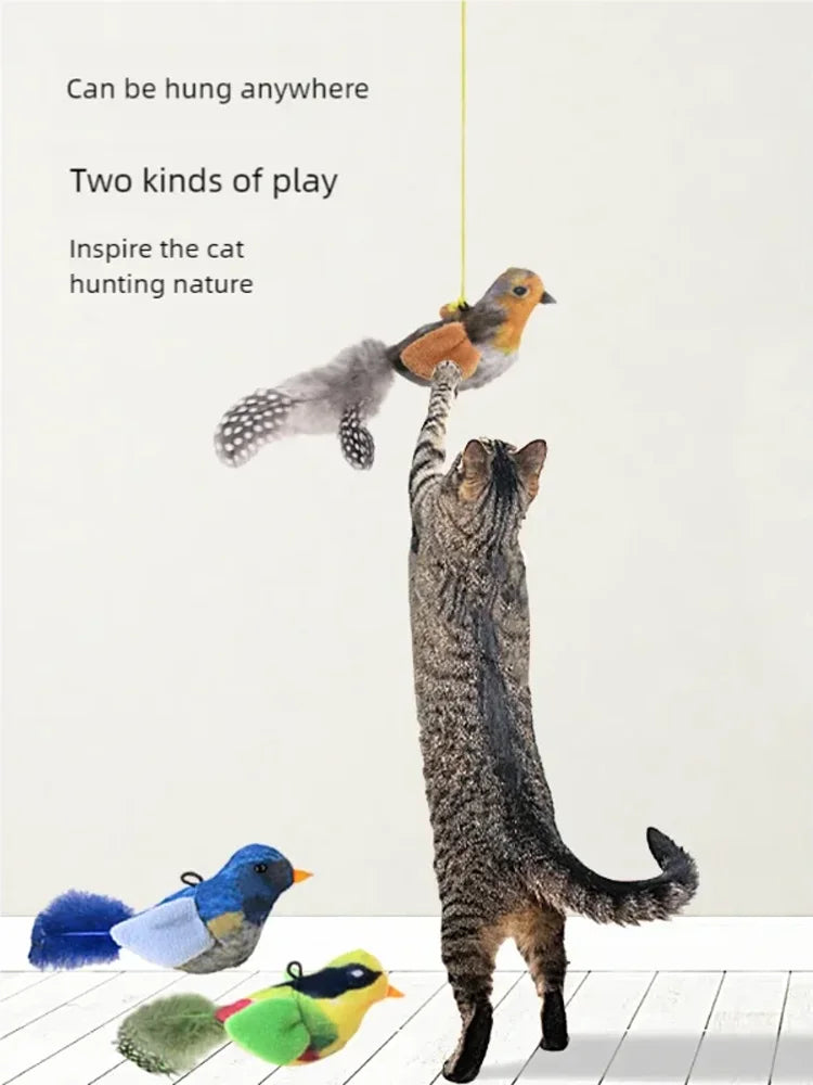Oiseau Interactif Pour Chat