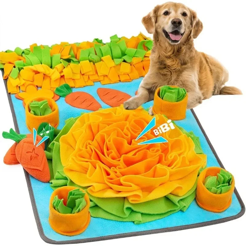 Grand Tapis de Fouille