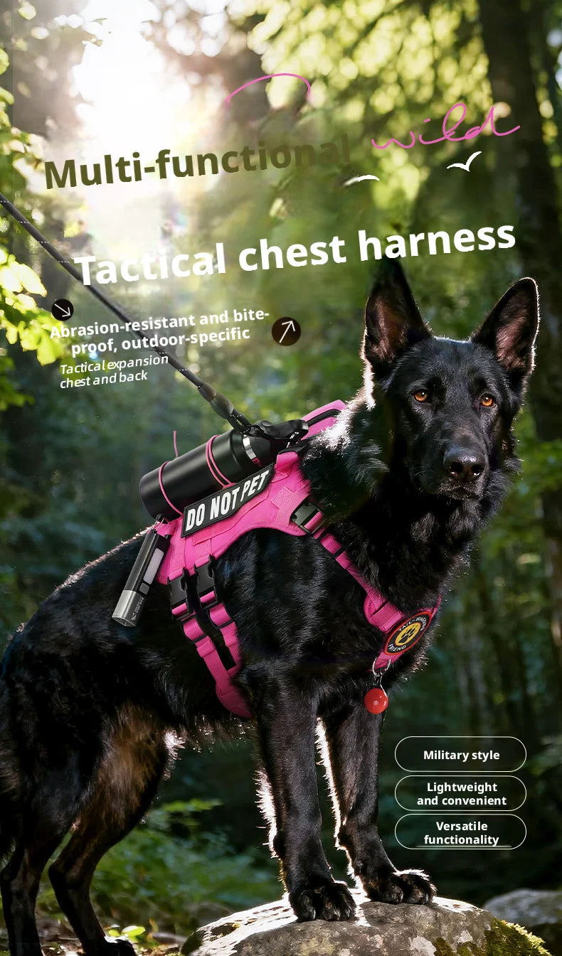 Harnais Chien Anti-Traction