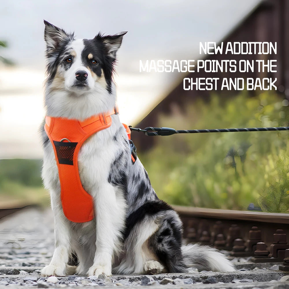 Harnais Chien Anti-Traction