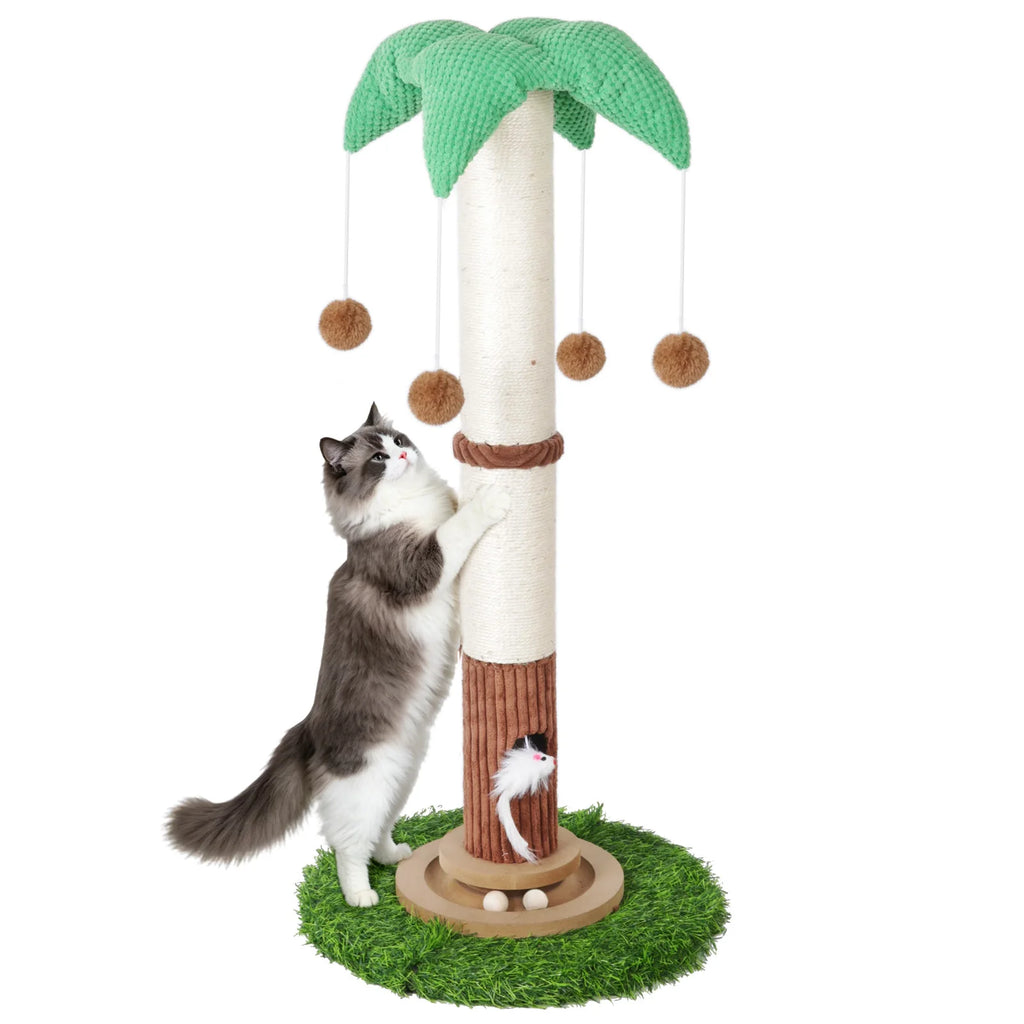 Arbre À Chat Griffoir