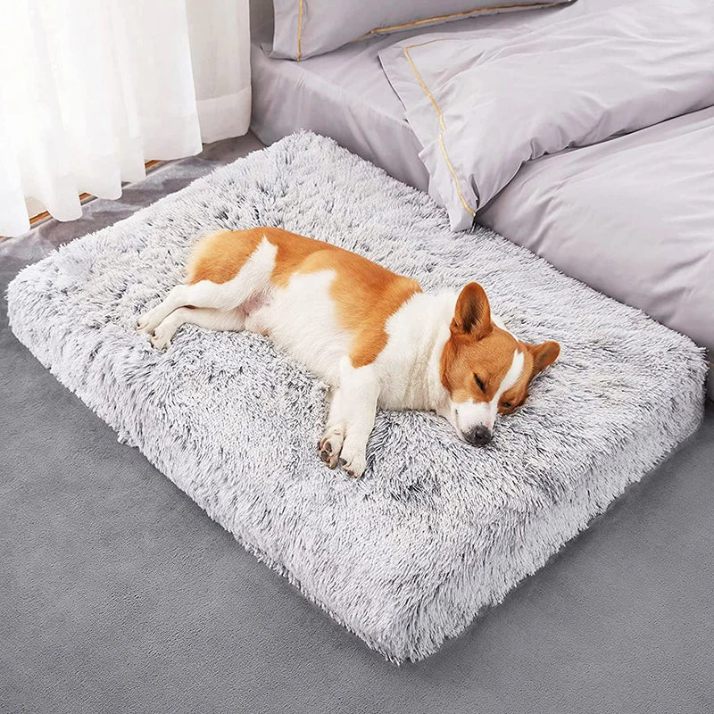 Cocon Douillet pour Animaux