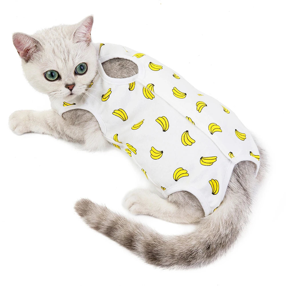 Combinaison Récupération Pour Chat