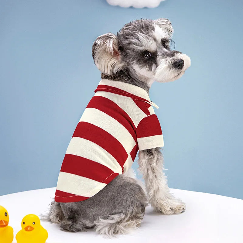 Polo Estival pour Animaux