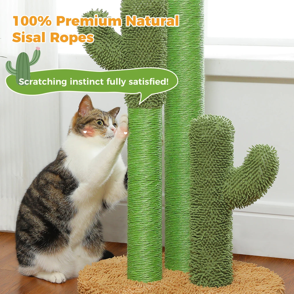 Griffoir Cactus Pour Chat