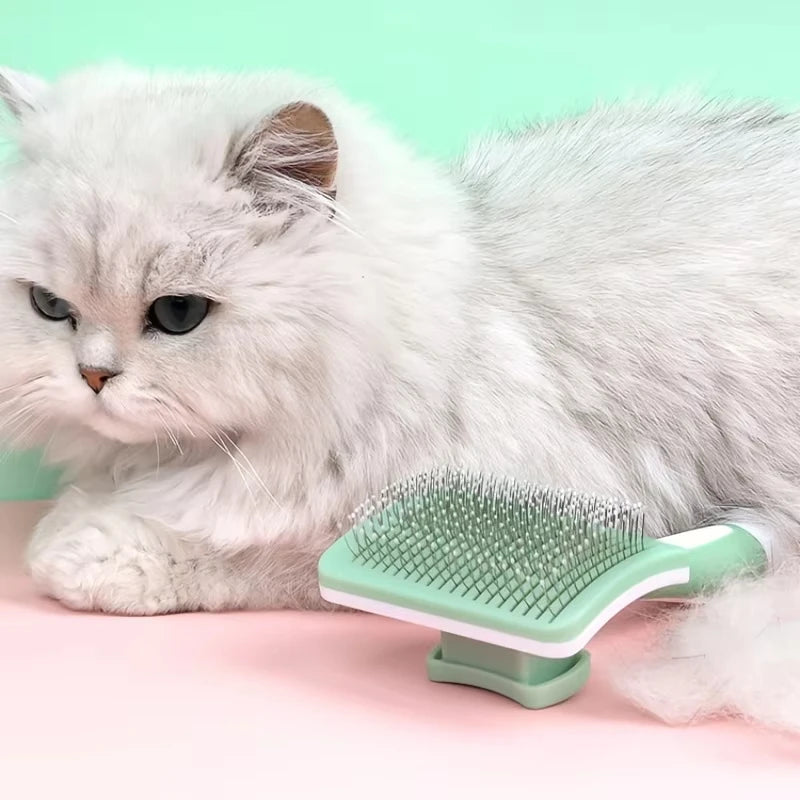 Brosse Anti-Poils Pour Animaux