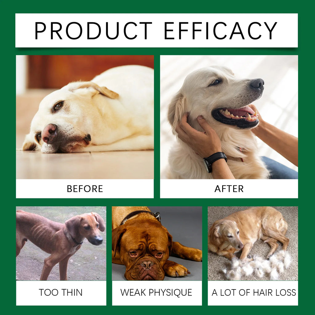 Vitamines Bien-Être Pour Chien