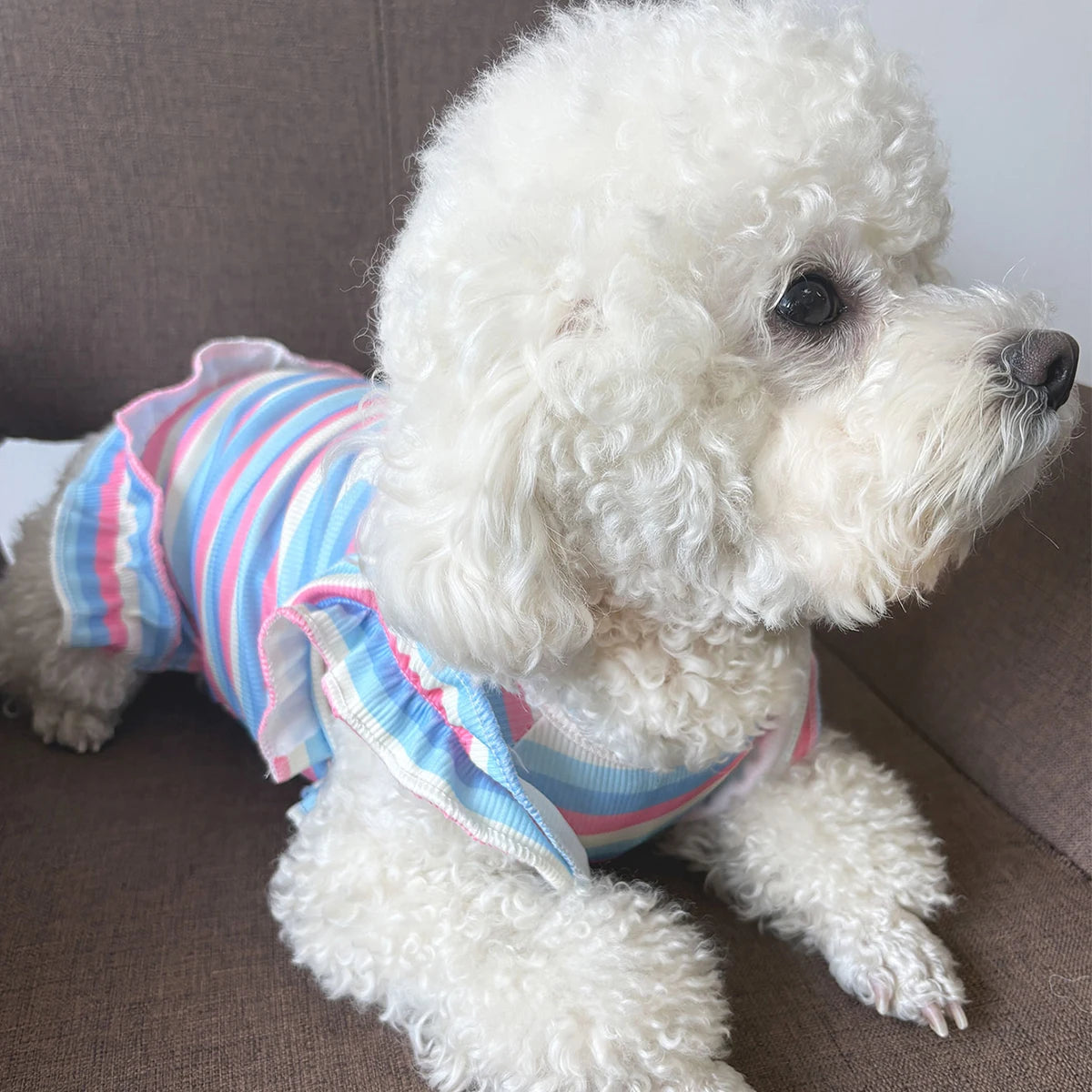 Robe Fleurie Pour Petit Chien