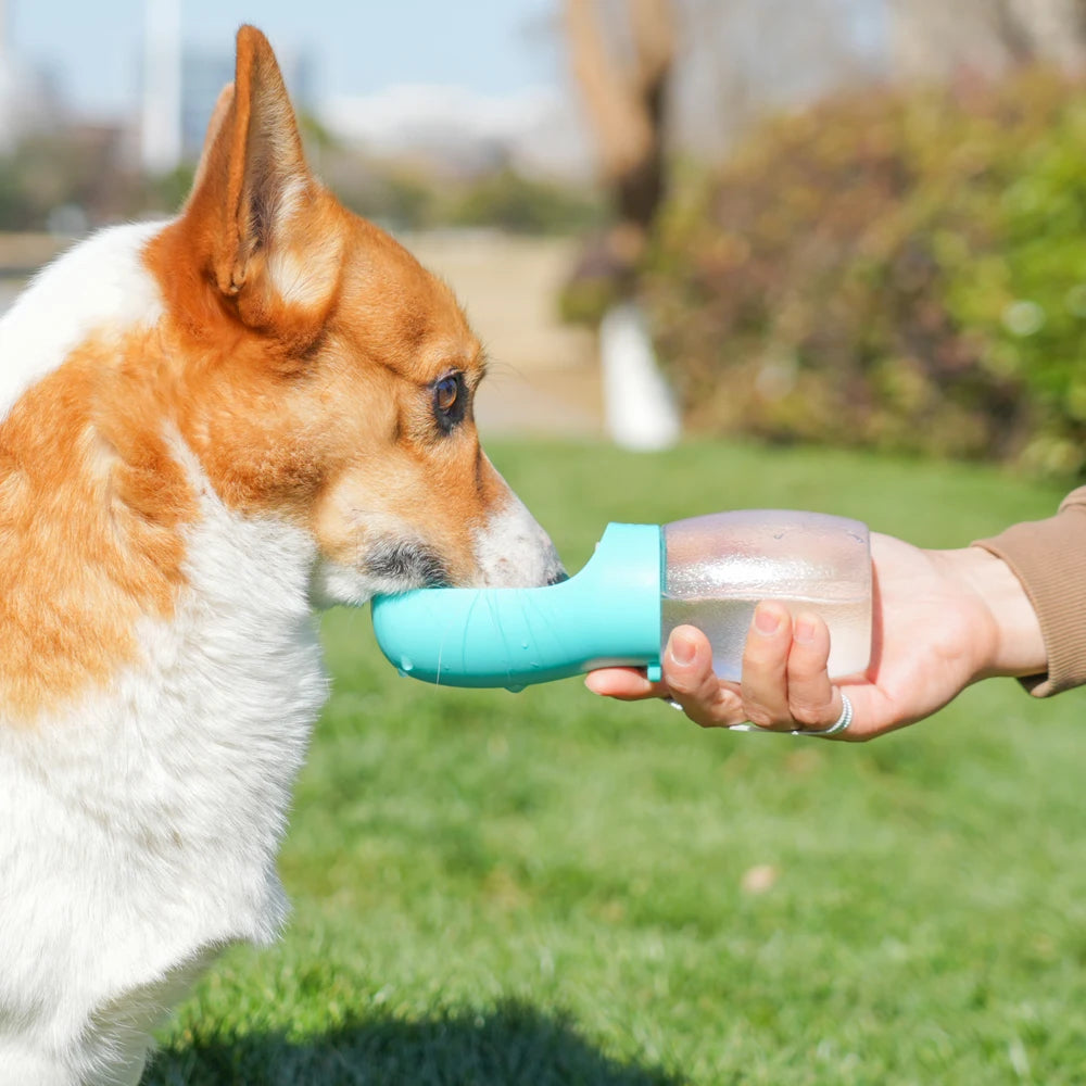 Gourde 300ML Pour Animaux